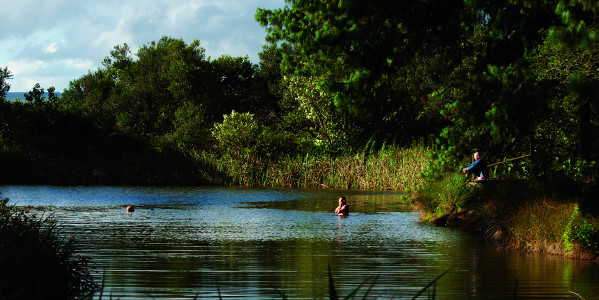 a shaw brc dam0447