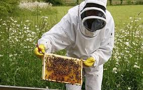 beekeeper