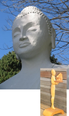 buddha_nose