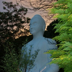 Buddha