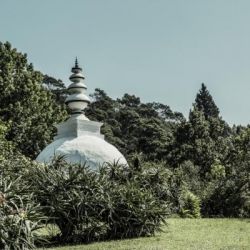 Buddhist statues, shrines & icons