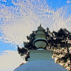 Buddhist statues, shrines & icons