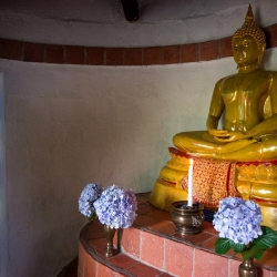 Buddhist statues shrines  icons_12