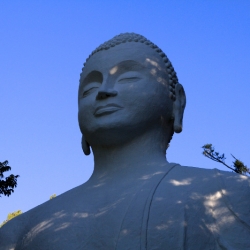Buddhist statues shrines  icons_4