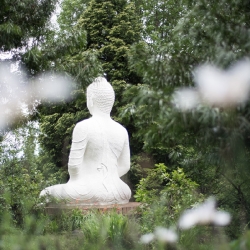 Buddhist statues shrines  icons_7