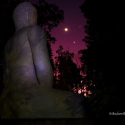 Moonstruck Buddha_1