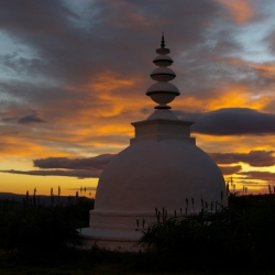 Buddhist statues shrines and icons