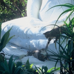 Buddhist statues shrines and icons