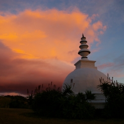 shrine_1