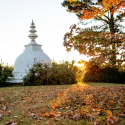 Stupa in Autumn_1