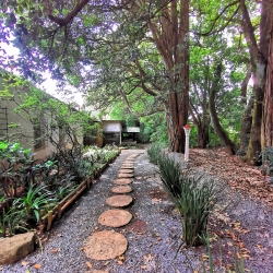 Pathway to the Lodge