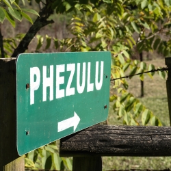 I: Phezulu - room in a shared house, shared bathroom (females only)_1