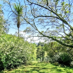 Type J: Garden Thatched Bungalow en-suite with double-bed and views_2