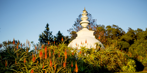 brcixopo stupa and aloes lisa de venter6371