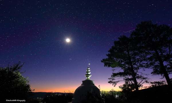 stupa dawn andrew brown