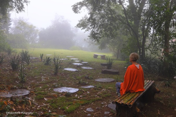 meditative andrew brown