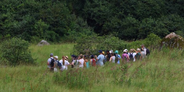 birding retreat