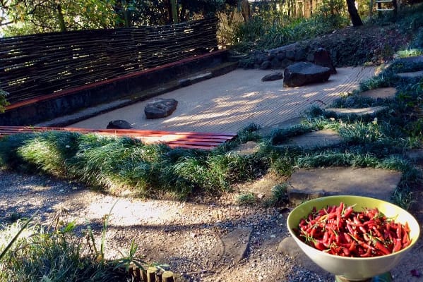 zen garden chilli w hennig