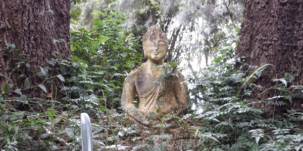 brcixopo mossy buddha photobyBrendonHatcher