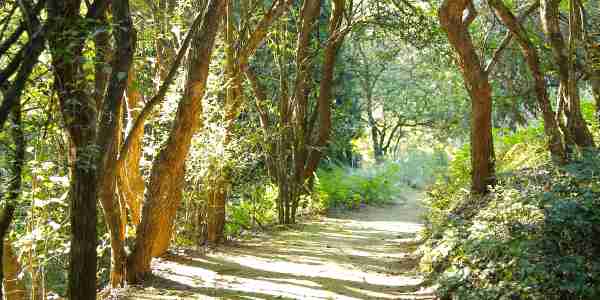 path from stupa to dining room c flores B7B5093