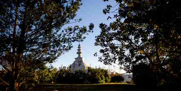 stupa through the trees l de venter9B1A6416