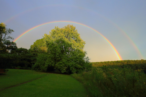 andrew brown rainbow