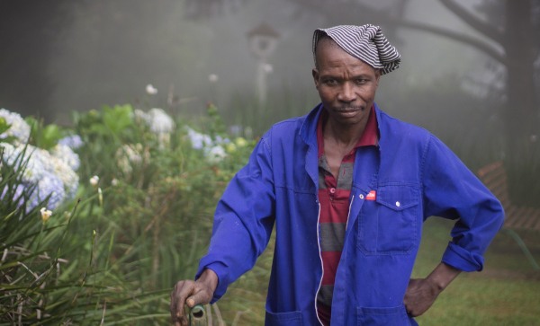 gardening nhlakanipho nkomo