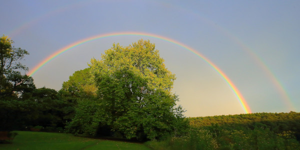 andrew brown rainbow