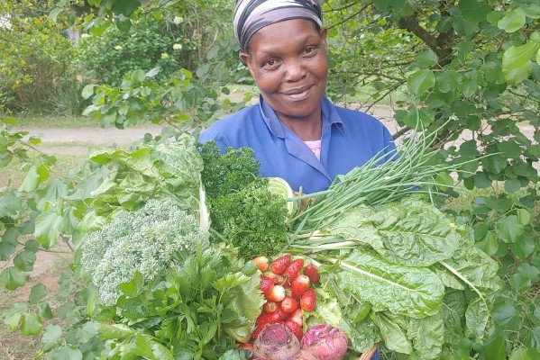 nana vegetable harvest