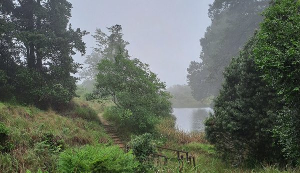 misty dam a lavoipierre 021