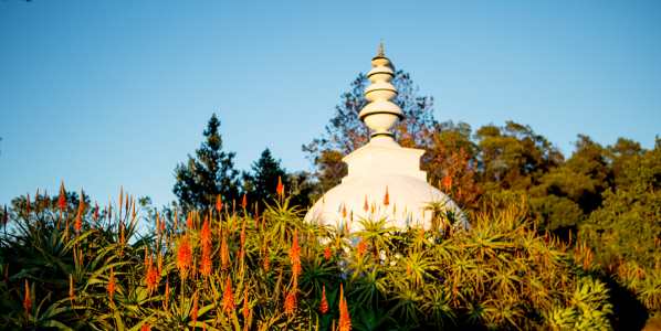 brc ixopo stupa aloes