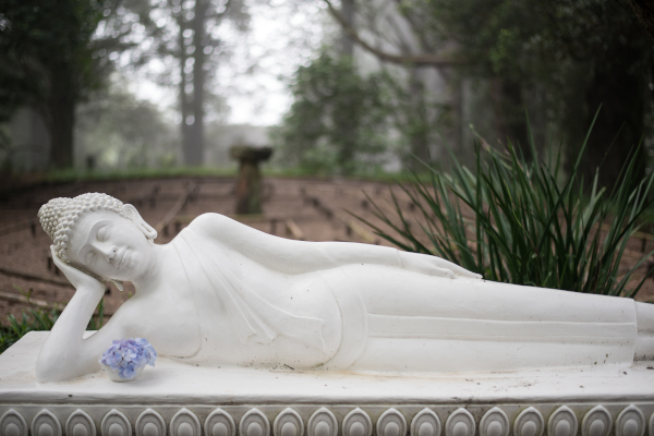 reclining buddha a buckland