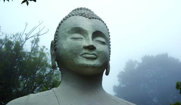 brc buddha in the mist a shaw