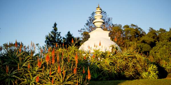 lisa de venter brc ixopo stupa and aloes9B1A6371