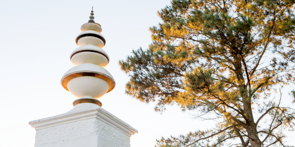 lisa de venter brc stupa