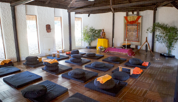 meditation hall lisa de venter