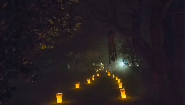 lantern lit path