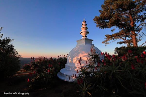 late afternoon stupa a brown
