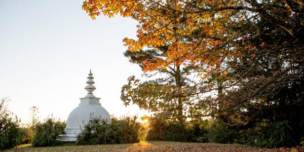 autumn stupa brcixopo lisadeventer