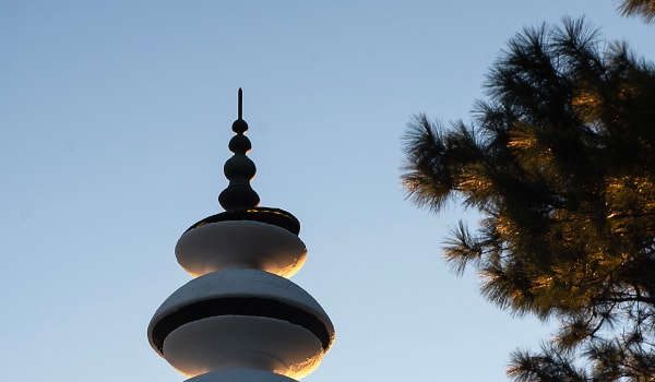 reaching for the sky