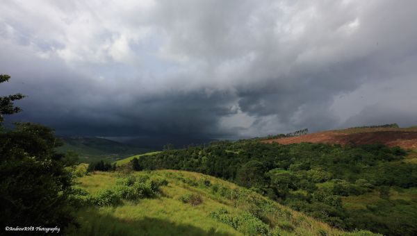 the disappearing storm a brown