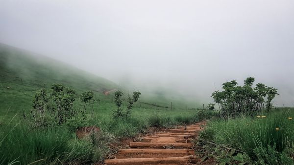 valley in mist gavin naicker