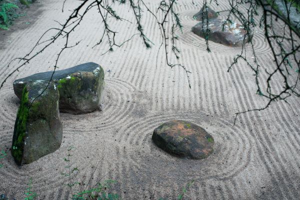 zen garden a buckland2020