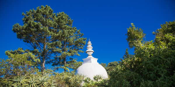 brc stupa c flores5310