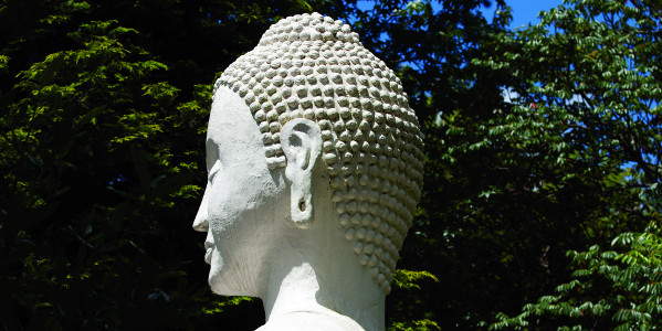 brcixopo buddha sideview a shaw0291