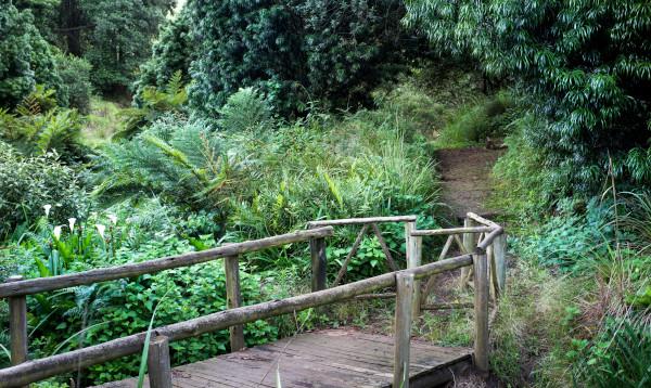 bridge a buckland