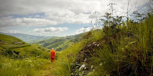 ajahn sucitto walking lke abuddha2