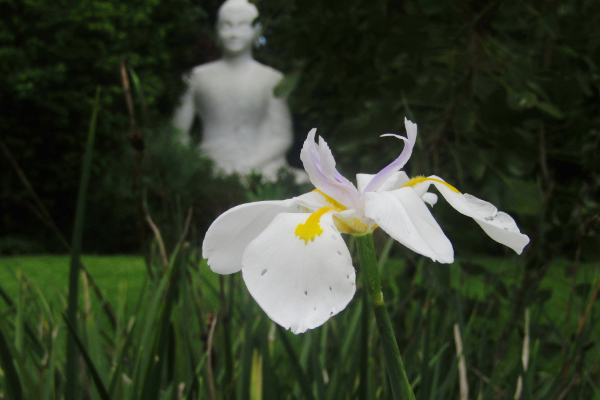 flower Buddha background l erikson