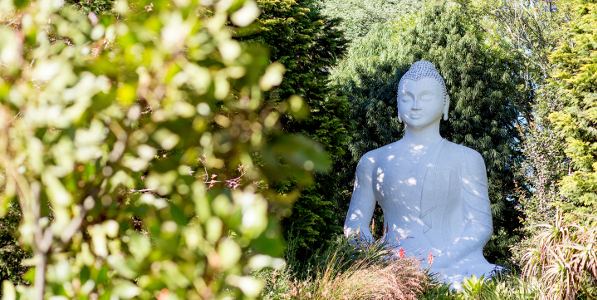 brcixopo buddha ldeventer 9B1A6556