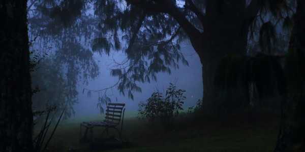 bench in the mist andrew brown